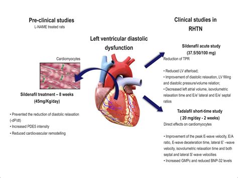 what is Lv systolic function